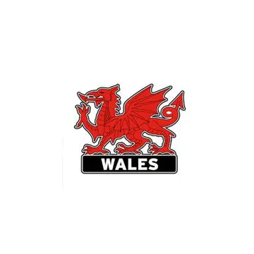 Wales Dragon Magnet