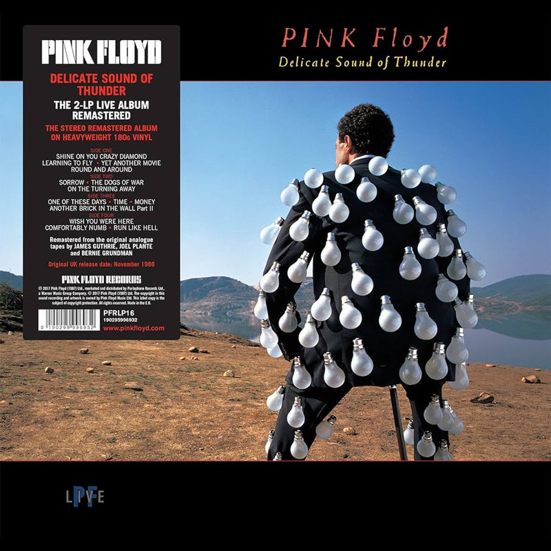 Pink Floyd - Delicate Sound of Thunder