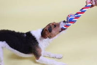 British Rope Ball Ring Dog Toy