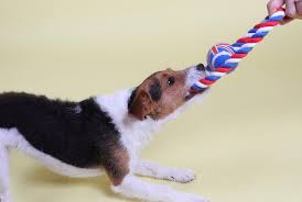 British Rope Ball Ring Dog Toy