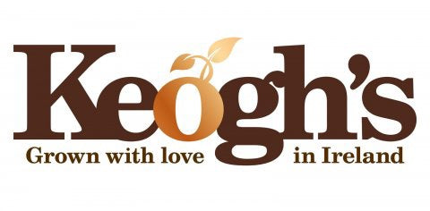 Keogh’s