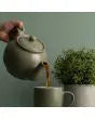 Price & Kensington Sage Green 6 Cup Teapot