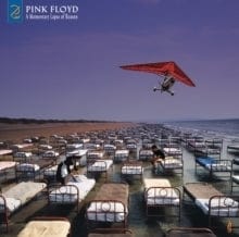 Pink Floyd - A Momentary Lapse Of Reason (Remixed & Updated 180g)